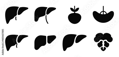 Collection of anatomical liver and kidney silhouettes