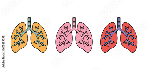 Colorful illustration of three human lungs
