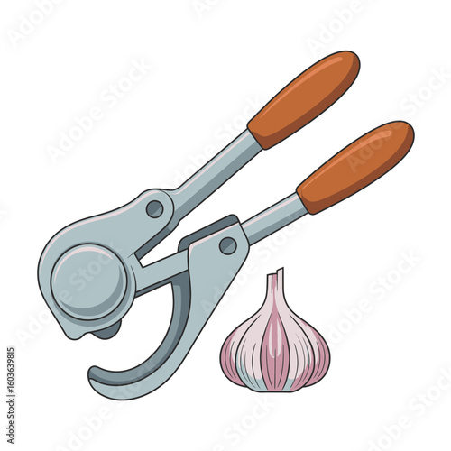 Garlic press and garlic bulb illustration