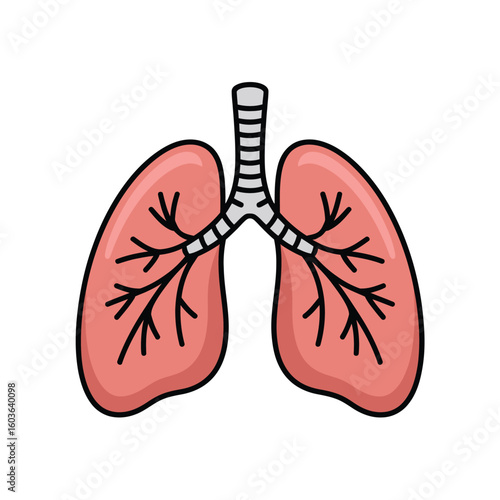 Stylized illustration of human lungs and trachea