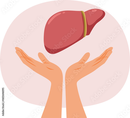 
Liver Donation Concept Image of Hands Holding an Organ. Symbol for world liver day celebration raising awareness for a health cause