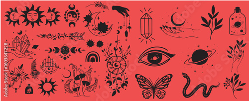 Mystical celestial clipart bundle, Mysticism and esoteric, Flower moon, dream catcher, floral skull, night moth, mushrooms and crystal isolated vector