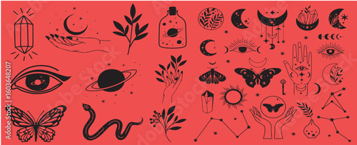 Mystical celestial clipart bundle, Mysticism and esoteric, Flower moon, dream catcher, floral skull, night moth, mushrooms and crystal isolated vector