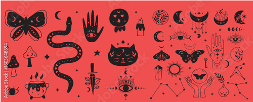 Mystical celestial clipart bundle, Mysticism and esoteric, Flower moon, dream catcher, floral skull, night moth, mushrooms and crystal isolated vector