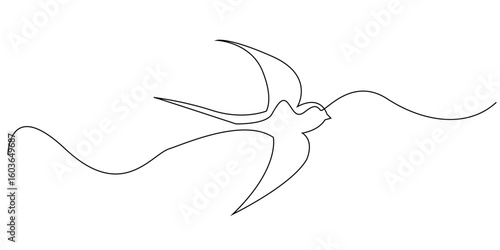 Continuous line drawing of a swallow bird in flight. Minimalist illustration representing freedom, grace, hope, and the elegance of nature in motion