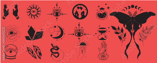 Mystical celestial clipart bundle, Mysticism and esoteric, Flower moon, dream catcher, floral skull, night moth, mushrooms and crystal isolated vector
