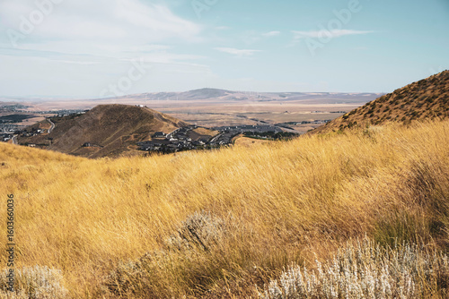 Eastern Washington Badger Mountain landscape in Tri-Cities 