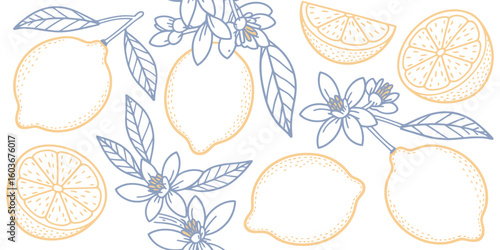 Elegant Lemon Citrus Illustration with Delicate Floral Accents for Fresh and Zesty Designs and Branding