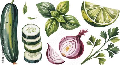 Watercolor Illustration Featuring Cucumber, Sliced Cucumber, Basil, Lime, Red Onion, and Cilantro