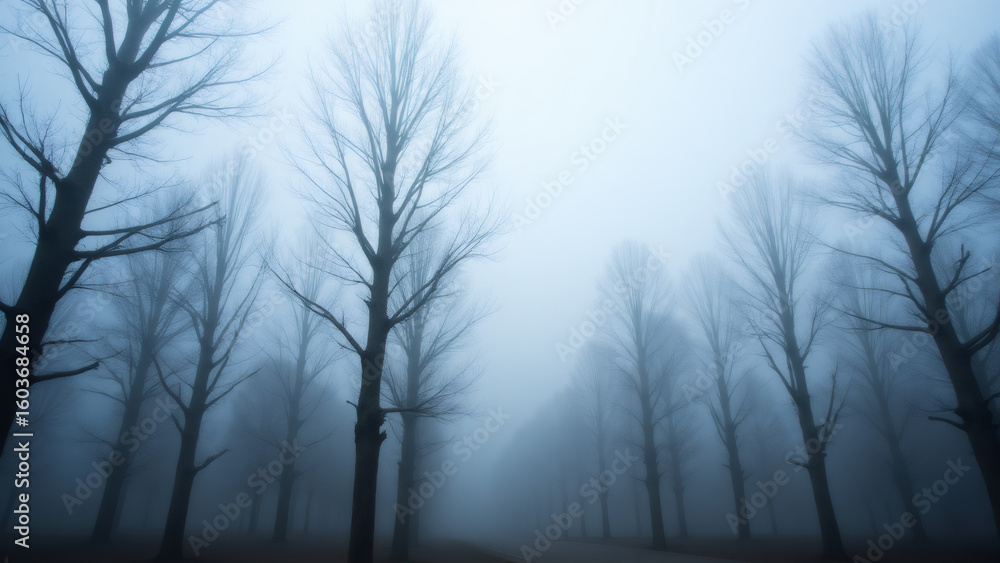 Obraz premium Misty Forest: Bare Trees in Dense Fog, Moody Autumn Landscape