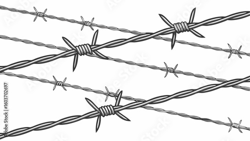 Barbed Wire Fence Security Boundary Protection Outdoors