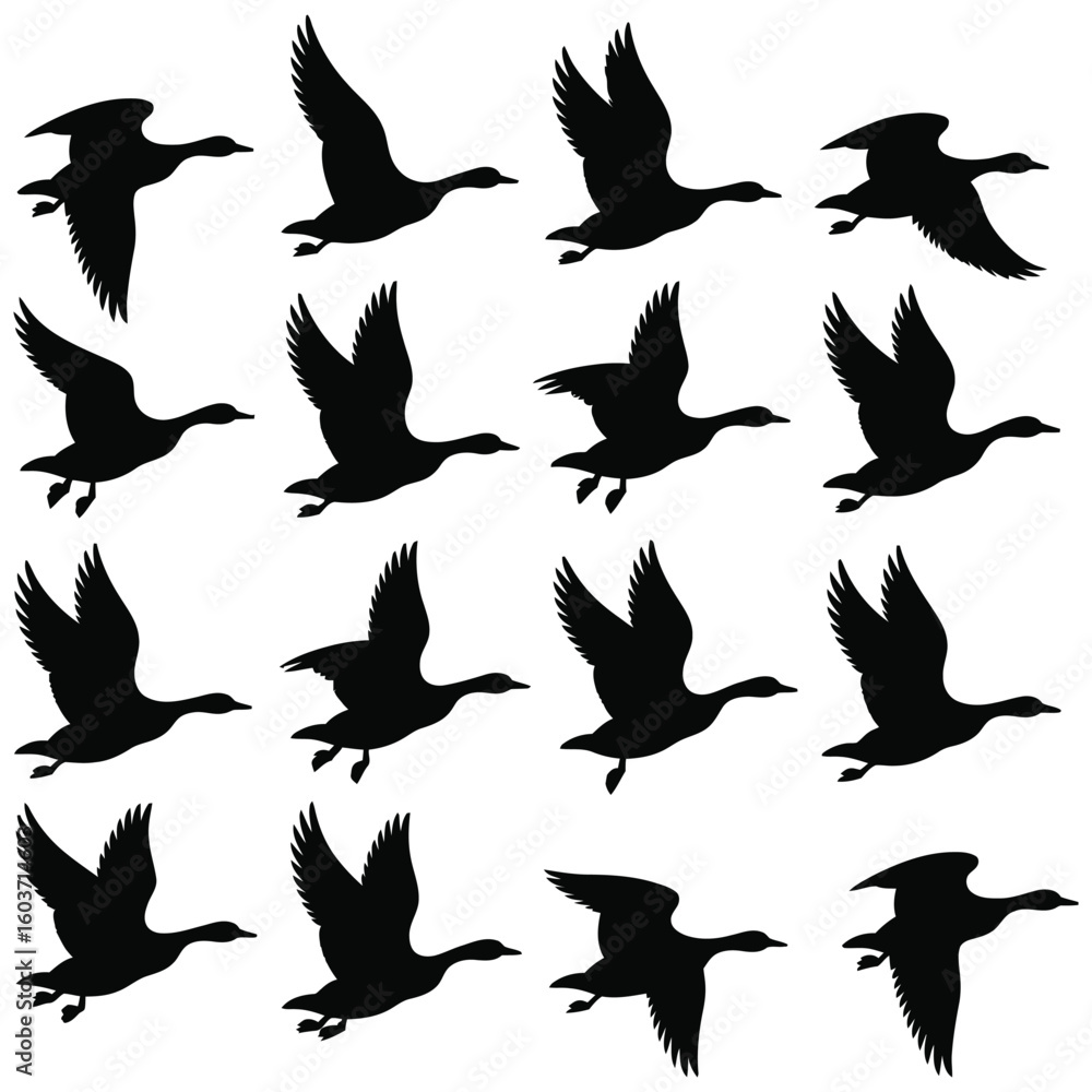 Fototapeta premium Dynamic flock of geese in graceful flight silhouettes for nature conservation or migration concept