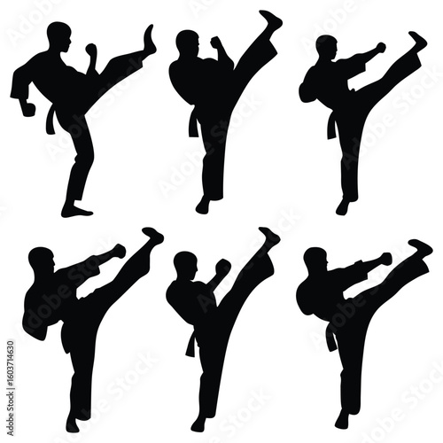 Dynamic martial arts silhouettes showcasing powerful kick techniques for fitness and self defense promotion