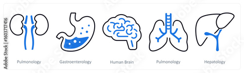 A set of 5 mix icons as pulmonology, gastroenterology, human brain
