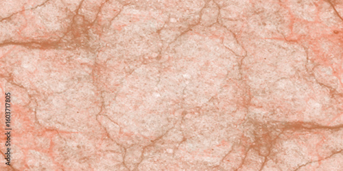 Wallpaper Mural Beautiful brown Marble Texture with delicate Cracks and Minimalist Design. Torontodigital.ca