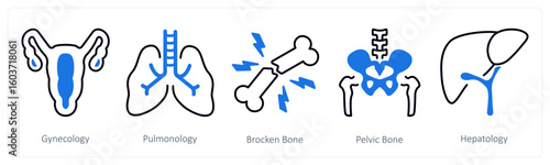 A set of 5 mix icons as gynecology, pulmonology, broken bone