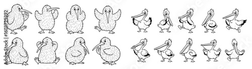 Cartoon birds stand in a group. Kiwi and pelican illustration, wildlife, animal, cute, funny, isolated, avian, comic, line art, monochrome