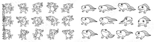 Cartoon fish and tadpoles evolve. Evolution, lifecycle, metamorphosis, cartoon, animal, funny, biology, amphibian, growth.