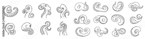 Octopus tentacles sketches collection. Sea creature, marine animal, seafood illustration, underwater life, ocean, nautical, fantasy