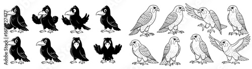 Cartoon birds image featuring crows and falcons. Wildlife vector, animal clip art, ornithology, birdwatching, nature.