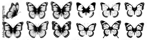 Various butterfly illustrations in a row. Nature, design, insect, artistic, creative, drawing, patterned, unique, detailed, transformation, beauty.