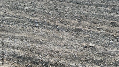 Принти на полотні Rich arable land shows tilled soil texture, ready for planting seeds and crops