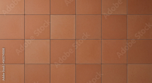 Matte Terracotta Tile Pattern