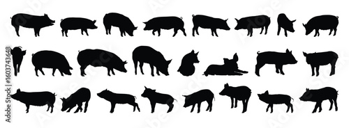pig and piglet silhouette set. pig and piglet isolated farm animal silhouette icon vector collection