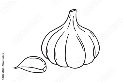 garlic doodle hand drawn icon. Outline drawing garlic line clipart symbol
