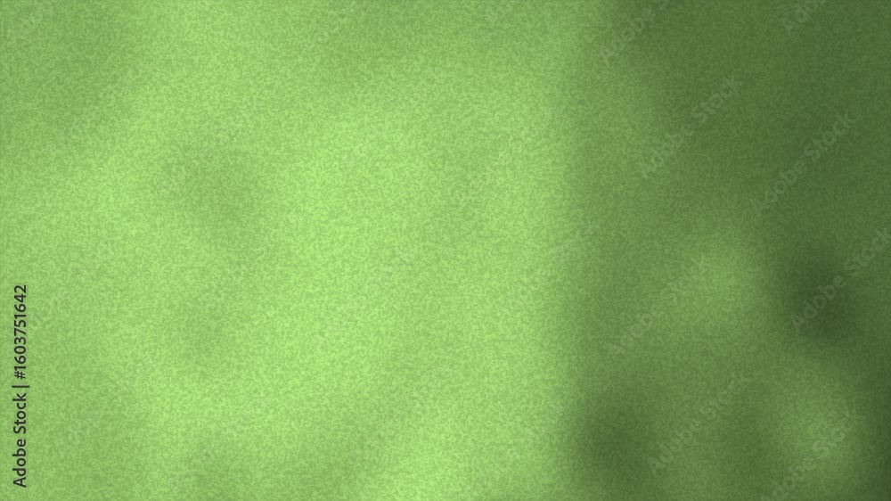 Sage green background textured green surface shadows creating a calming natural feel to this backdrop.