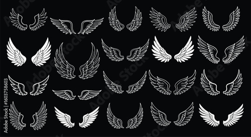 A collection of various angel wings and feathered designs showcasing diversity in feather patterns and styles