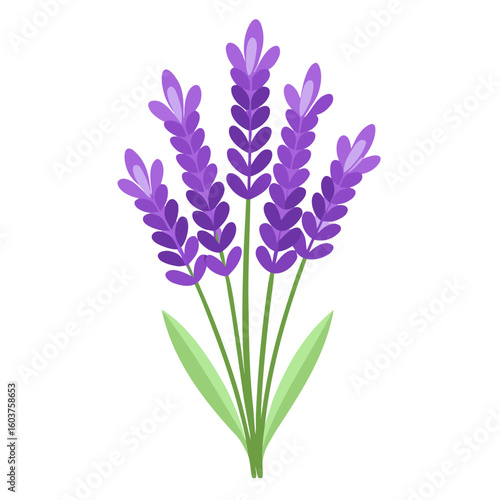 bouquet of flowers