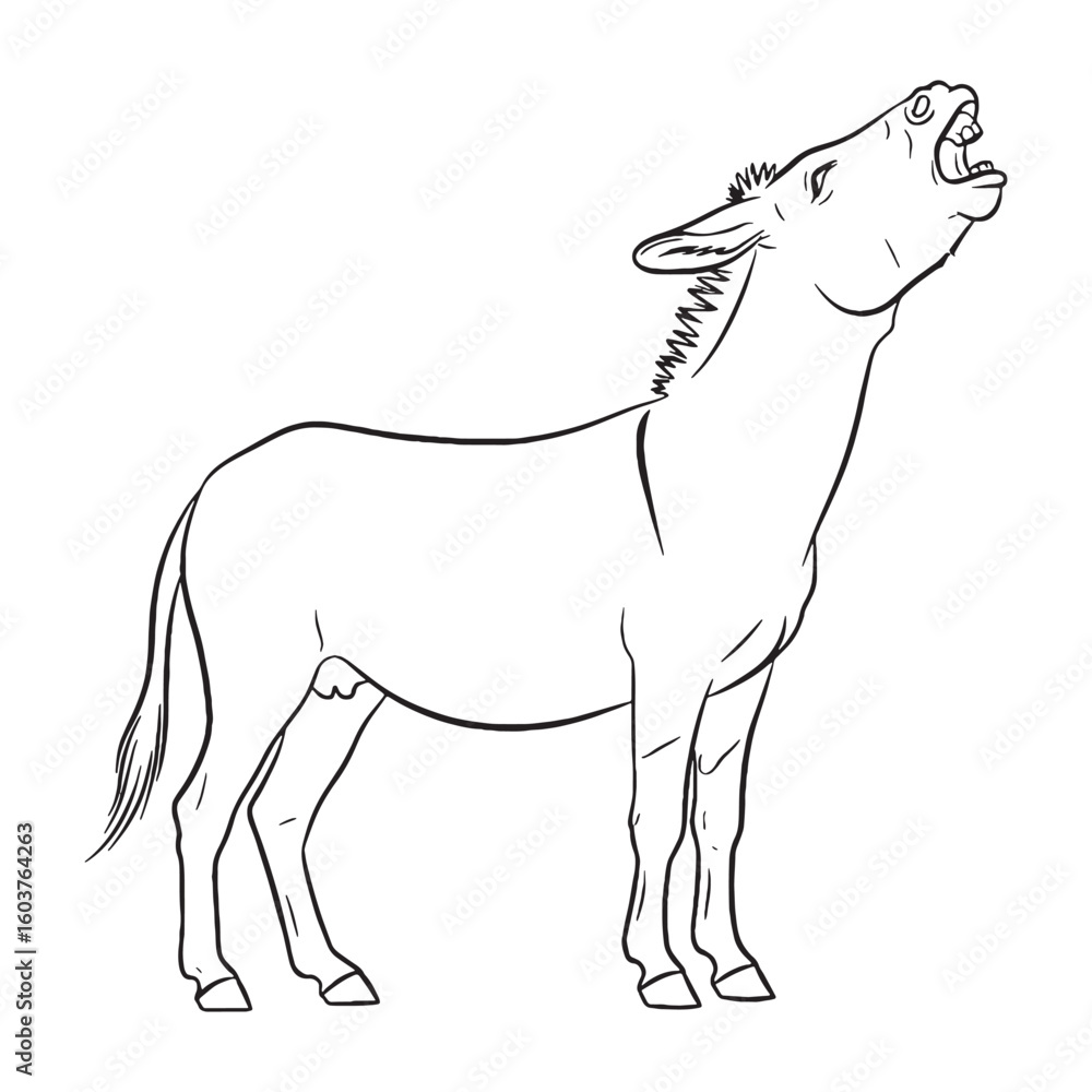 Obraz premium Burden-bearing Donkey Body Anatomy Sketch - Donkey vector - Donkey Line art - Donkey Drawing - Vector Lineart of Donkey - donkey icon - outline of donkey