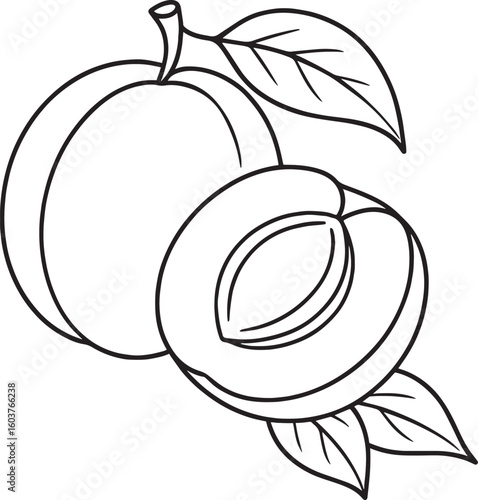 Whole and halved apricot with leaves fruit