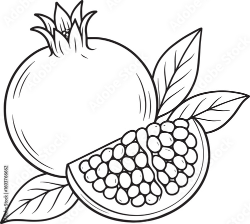 Whole pomegranate slice and leaves line art fruit seeds