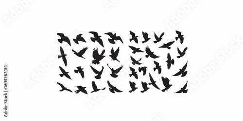 Print   Assortment of black bird silhouettes in various flying poses, signaling concepts of freedom, danger, and risk.