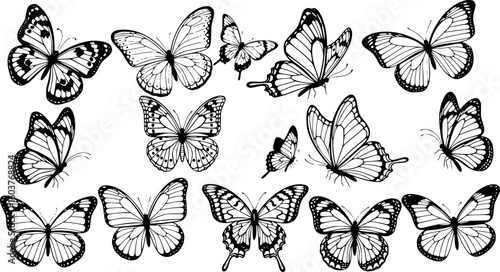 butterflies set, various black and white butterfly silhouettes, intricate wing patterns, some with heart shapes, dynamic poses, vector illustration