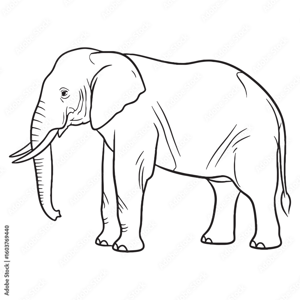 Fototapeta premium Massive-footed Elephant Durable Structure Aspect - Elephant vector - Elephant Line art - Elephant Drawing - Vector Lineart of Elephant - elephant icon - outline of elephant