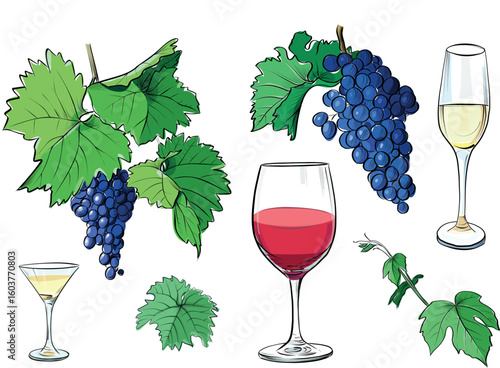  Wine glasses and grapevine branch illustration