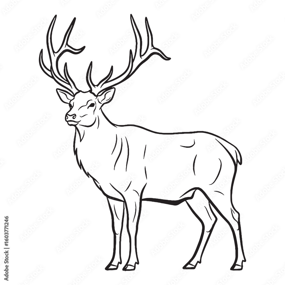 Obraz premium Herd-living Elk Distinctive Character Span - Elk vector - Elk Line art - Elk Drawing - Vector Lineart of Elk - elk icon - outline of elk