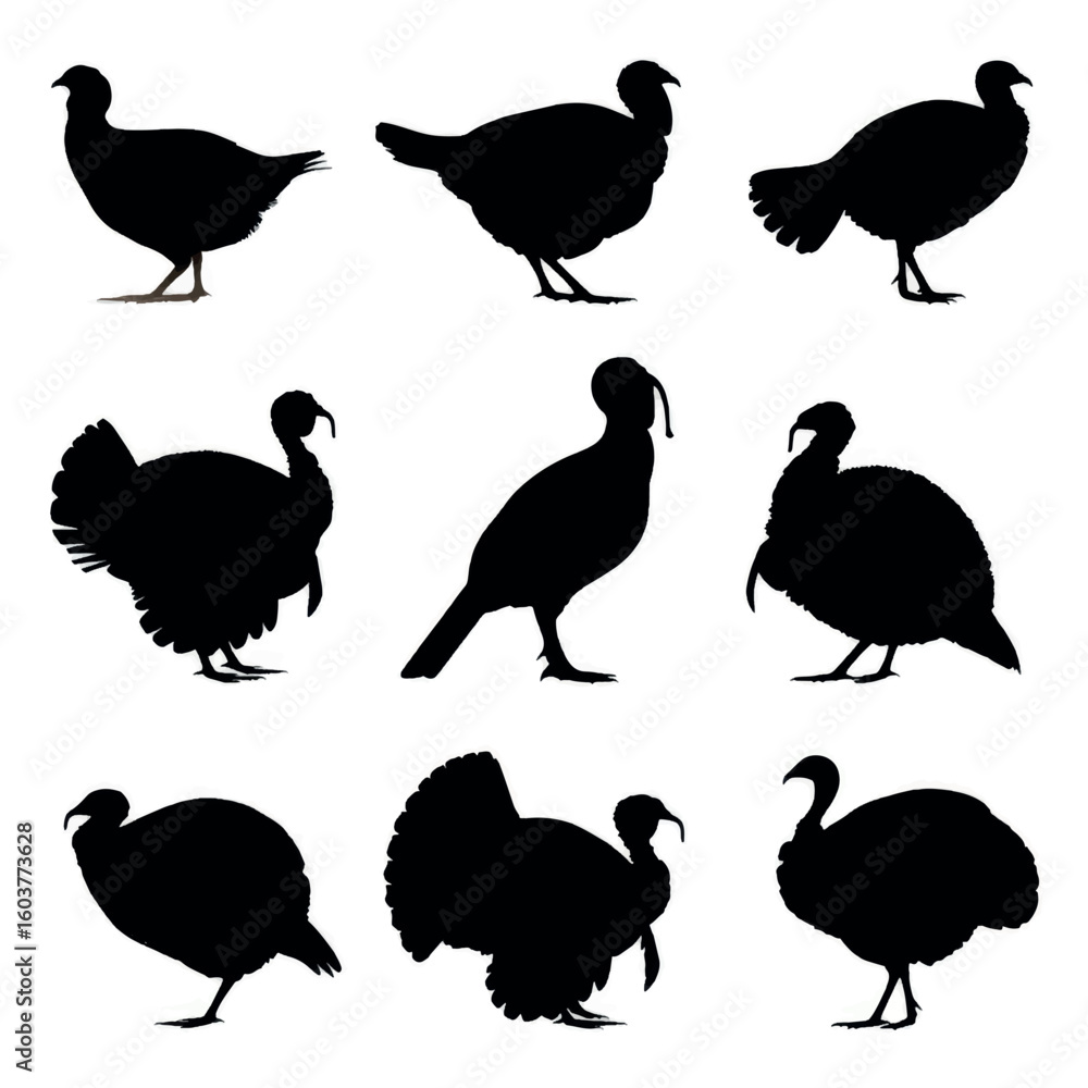 Obraz premium vector illustration of turkey silhouette set, Black & White silhouette set 