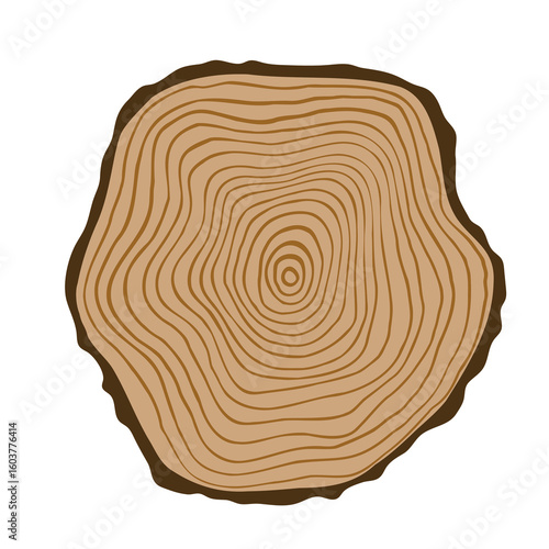 Tree ring vector simple flat illustration, wood slice with pattern