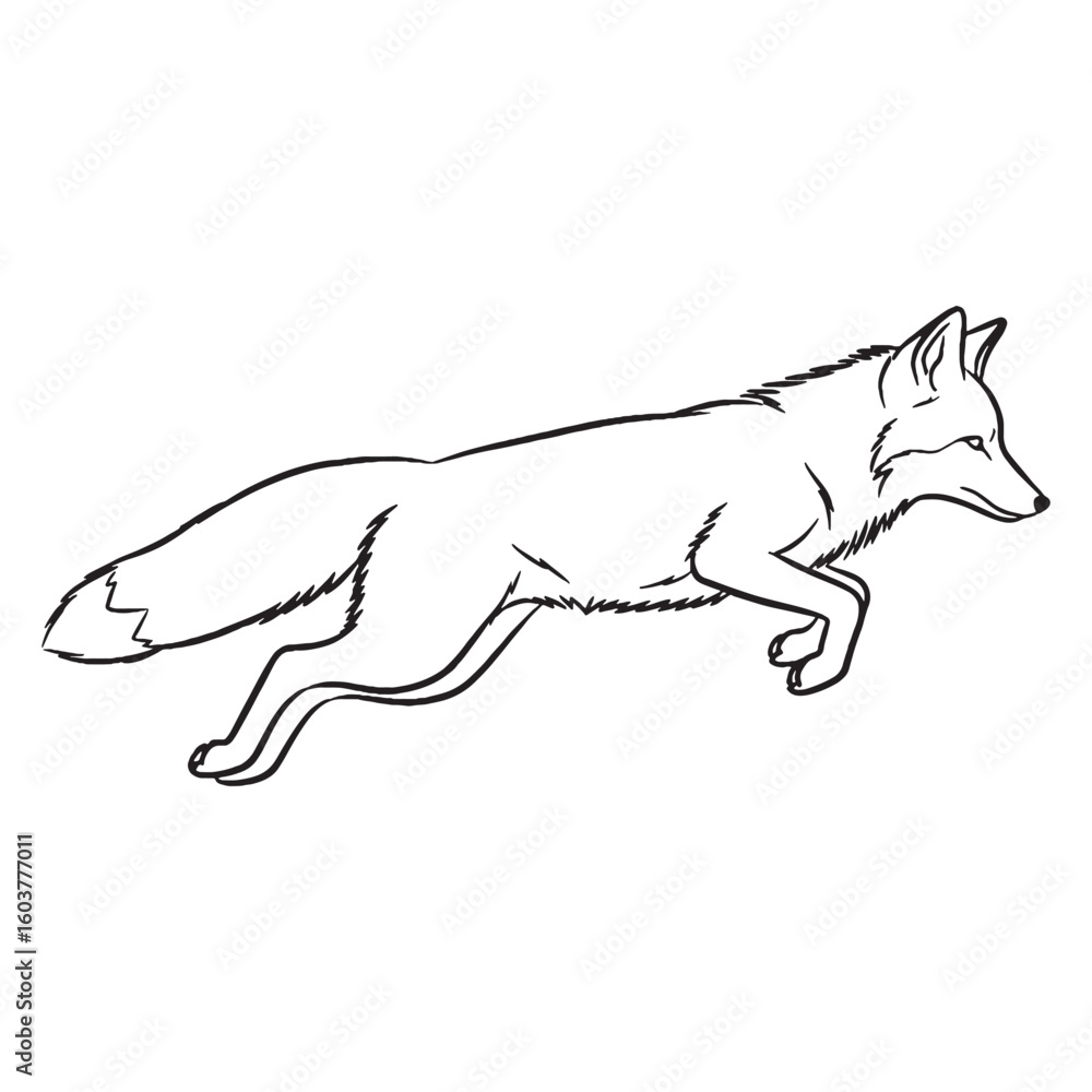 Fototapeta premium Nimble-footed Fox Distinctive Character Span - Fox vector - Fox Line art - Fox Drawing - Vector Lineart of Fox - fox icon - outline of fox