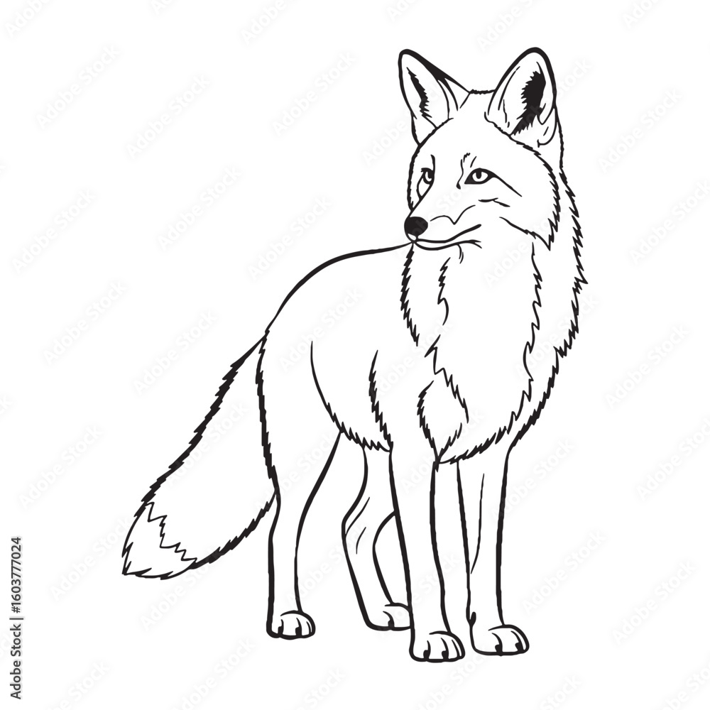 Obraz premium Clever Fox Untamed Spirit Vision - Fox vector - Fox Line art - Fox Drawing - Vector Lineart of Fox - fox logo - fox outline