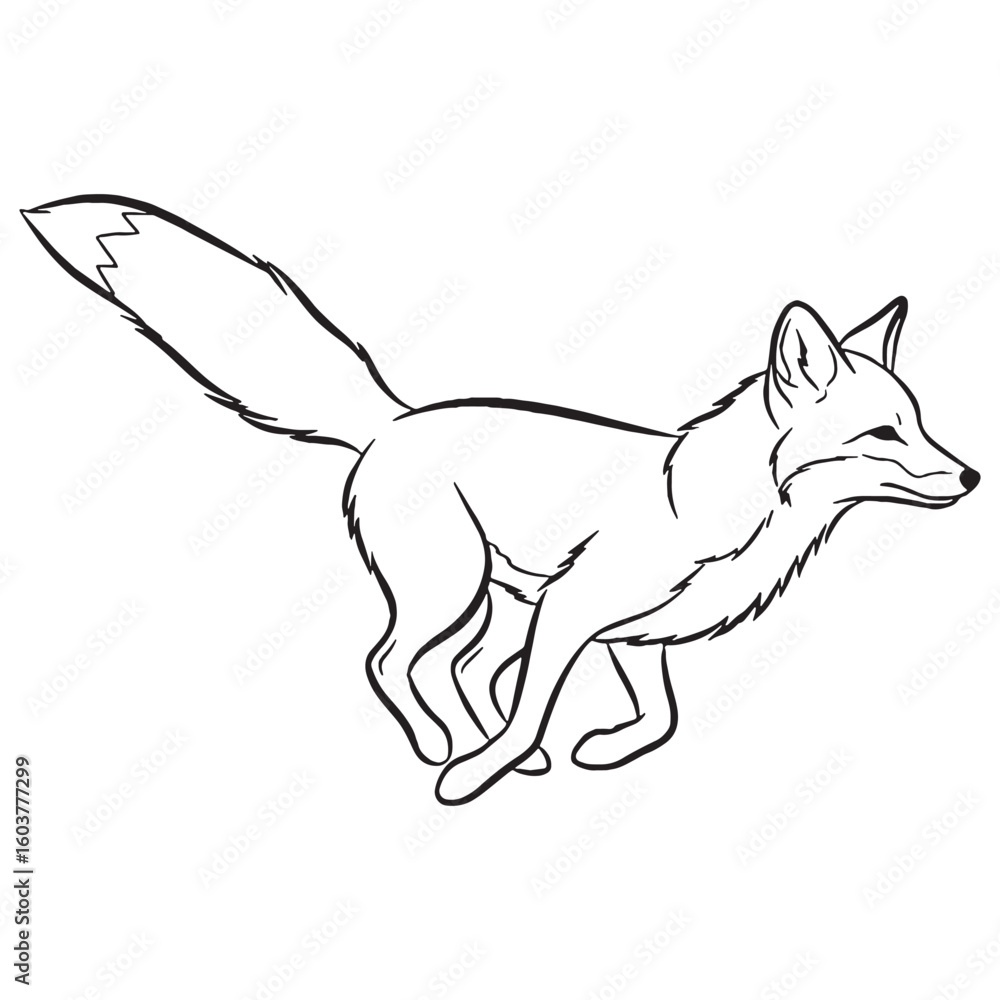 Fototapeta premium Wild-dweller Fox True Identity Phase - Fox vector - Fox Line art - Fox Drawing - Vector Lineart of Fox - fox icon - outline of fox
