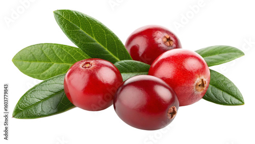 A vibrant group of fresh cranberries with leaves isolated on a clean transparent background in a studio setting