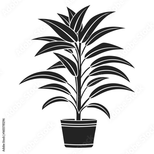 Black Outline Of A Tall Indoor Plant In A Pot