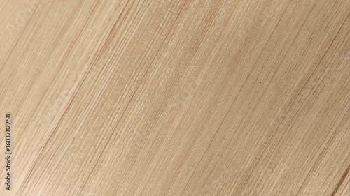 Nature smooth light brown timber wood luxury texture on natural background. Plain seamless oak wooden plywood marble door pattern, clear black birch table top view bacground concept for background.
