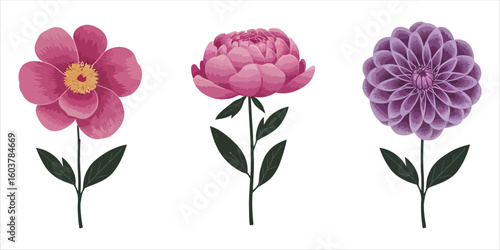 Vector art of pink and purple flowers on white background