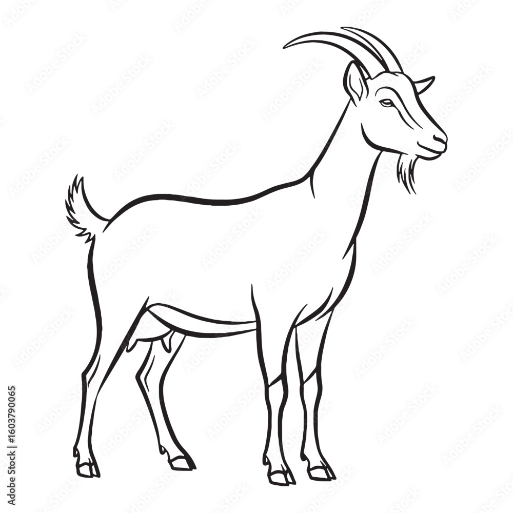 Fototapeta premium Ultimate Goat Untamed Spirit Vision - Goat vector - Goat Line art - Goat Drawing - Vector Lineart of Goat - goat logo - goat outline